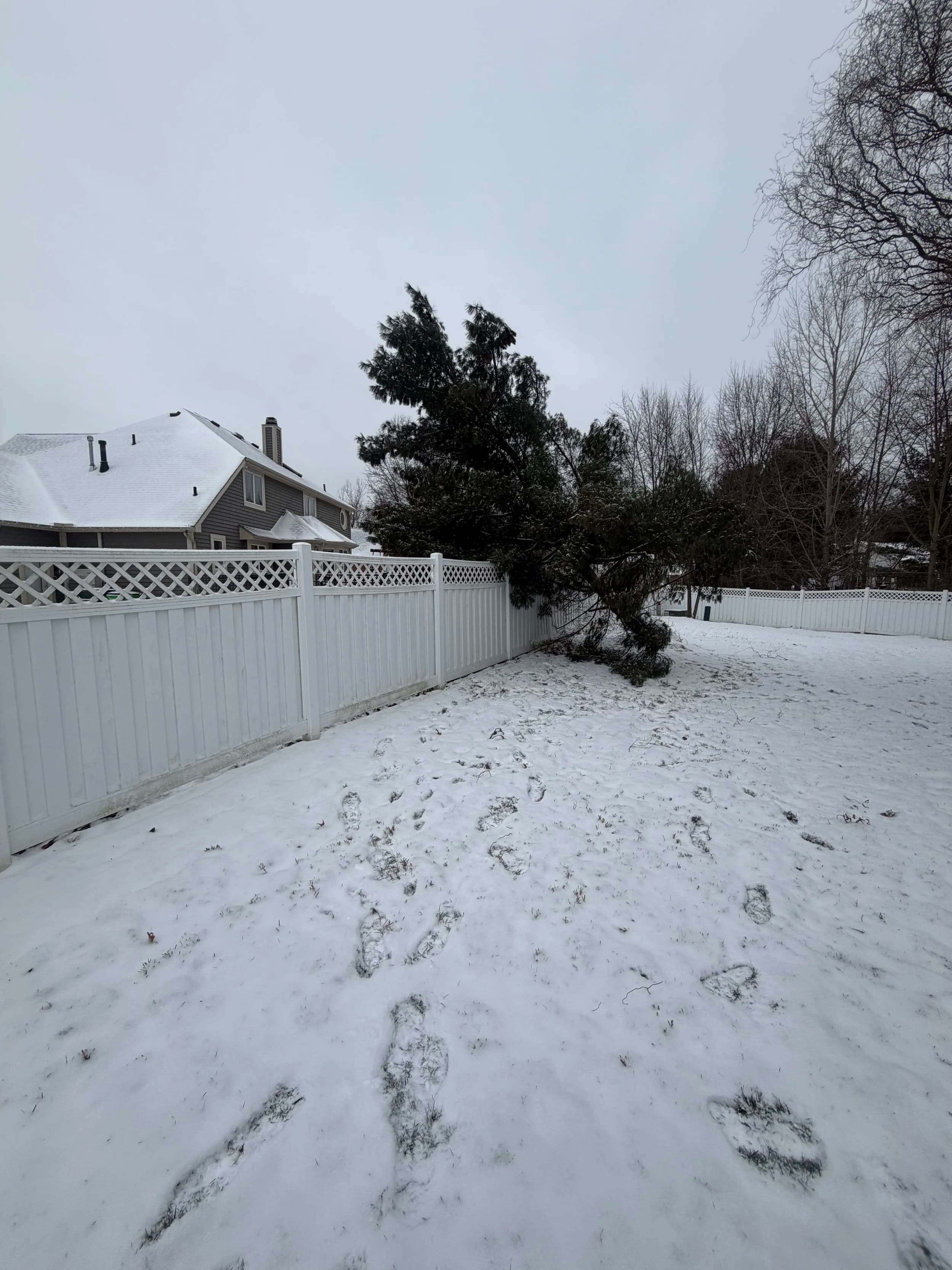 Fallen tree from winter storm damage requiring emergency service